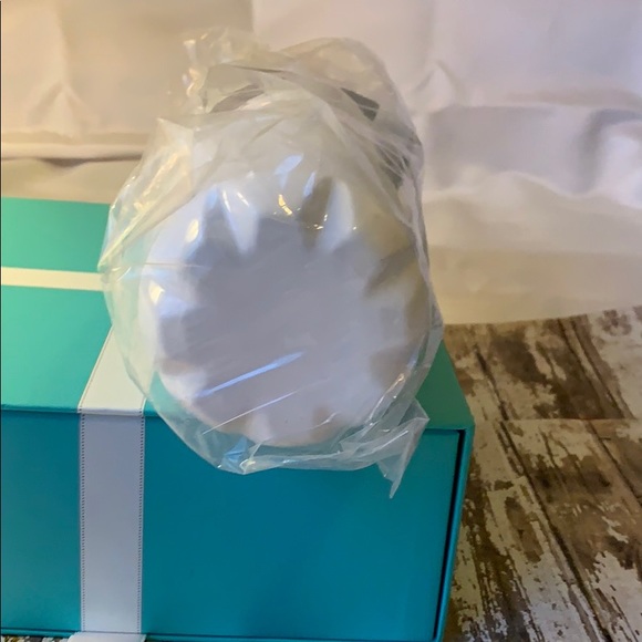 ♟NWT The Royal Standard Texas double wall bottle♟ - Picture 4 of 6